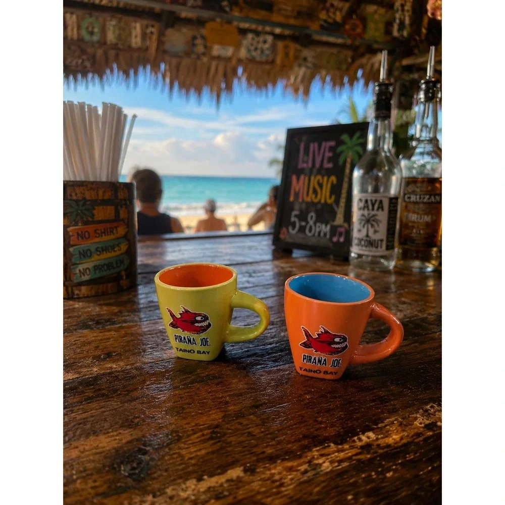 Pirana Joe Taino Bay Espresso Mug Set 2 Ceramic Mini Cups Orange Green Dominican